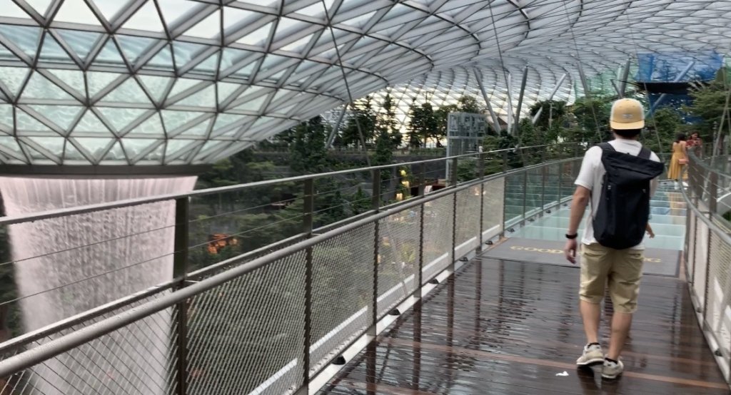 シンガポールの新スポット【キャノピーパーク】@ジュエル・チャンギ空港